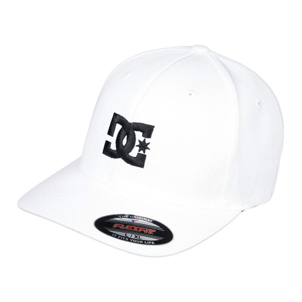 DCS-0419