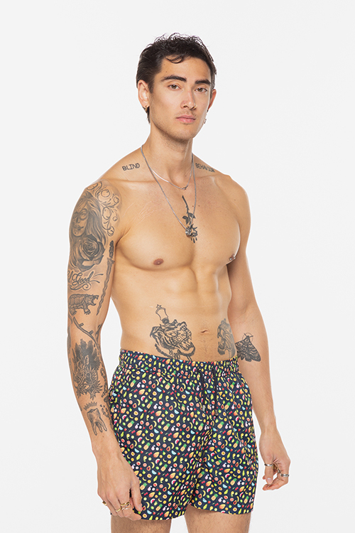 Men's Fruit Bowl Swim Shorts