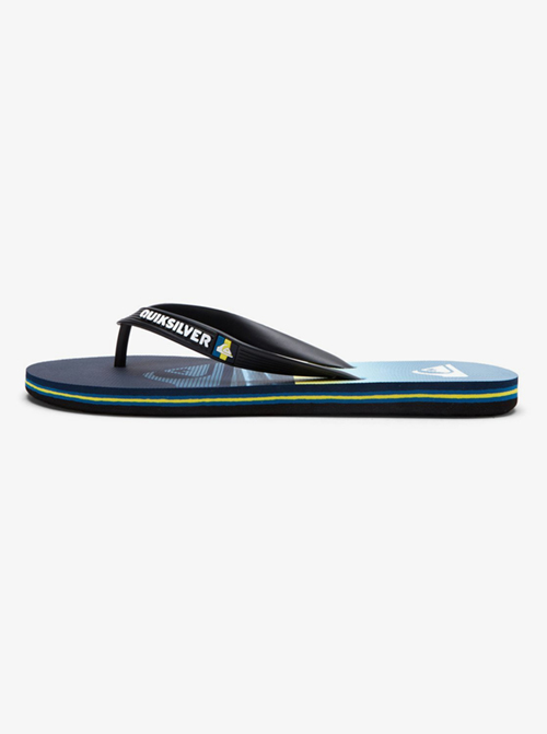 Men's Molokai Panel Flip Flops