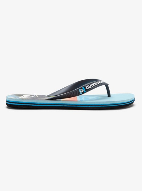 Men's Molokai Panel Flip Flops