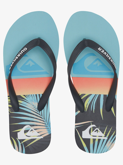 Men's Molokai Panel Flip Flops