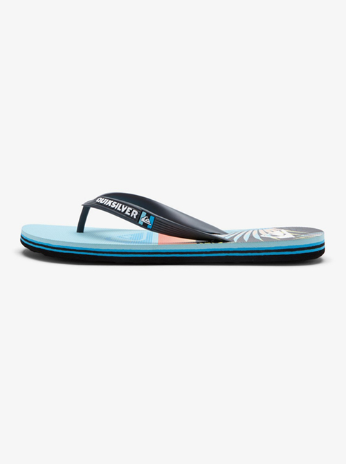 Men's Molokai Panel Flip Flops