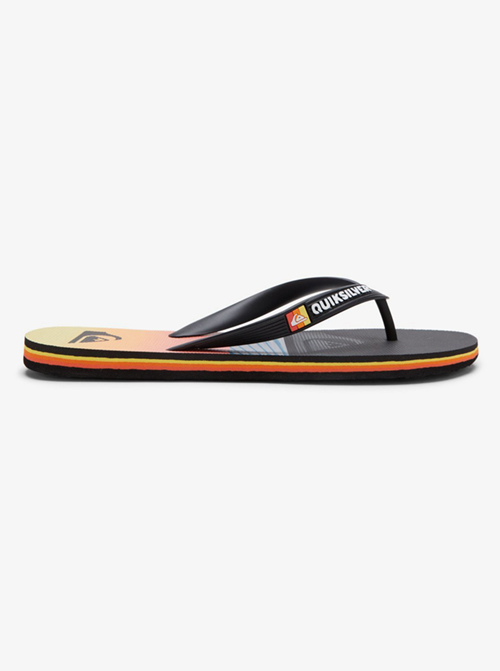 Men's Molokai Panel Flip Flops