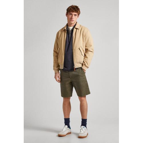 Men's Regular Fit Cotton Chino Shorts