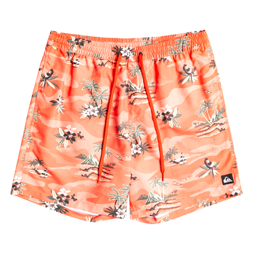 Quiksilver Men's Everyday Scenic 15'' Swim Shorts PN: EQYJV03901 - Picture 9 of 10