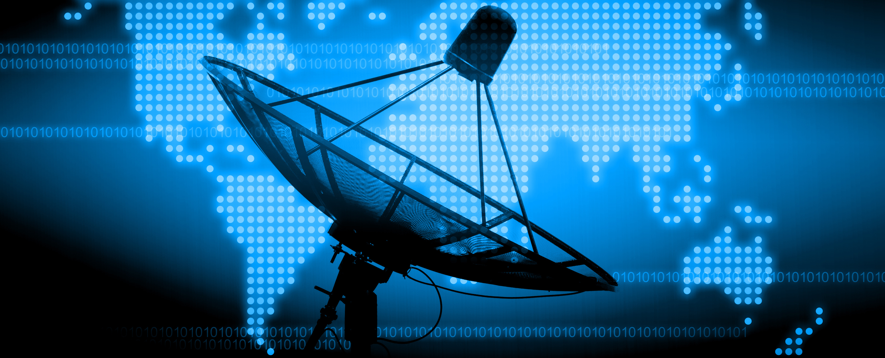 SATELLITE_SERVICE_DETAILS